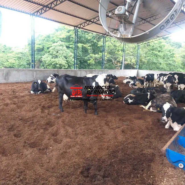 Foto 4 de Sítio / Rancho com 3 quartos à venda, 11m2 em Tuiuti - SP