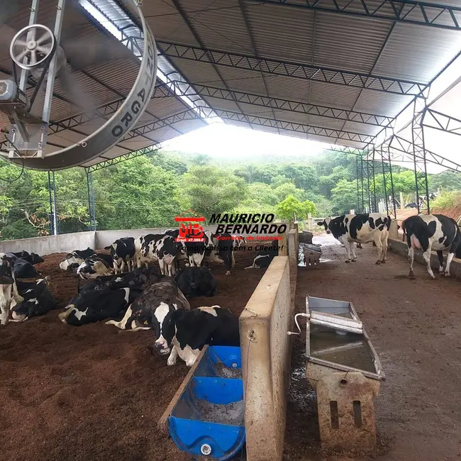 Foto 3 de Sítio / Rancho com 3 quartos à venda, 11m2 em Tuiuti - SP