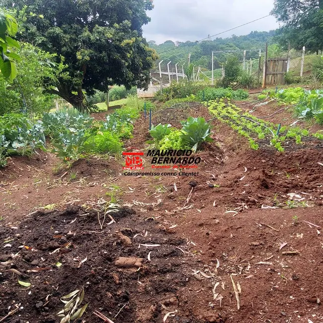 Foto 7 de Sítio / Rancho com 3 quartos à venda, 11m2 em Tuiuti - SP