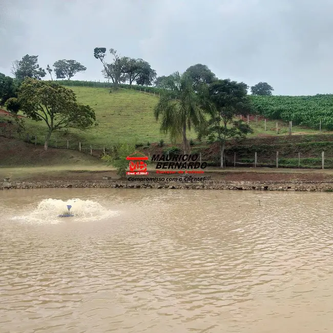 Foto 1 de Sítio / Rancho com 3 quartos à venda, 11m2 em Tuiuti - SP