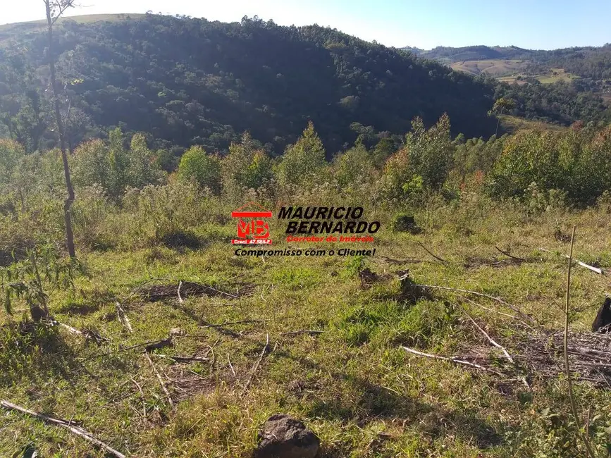 Foto 7 de Sítio / Rancho à venda em Amparo - SP