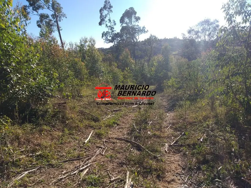 Foto 11 de Sítio / Rancho à venda em Amparo - SP