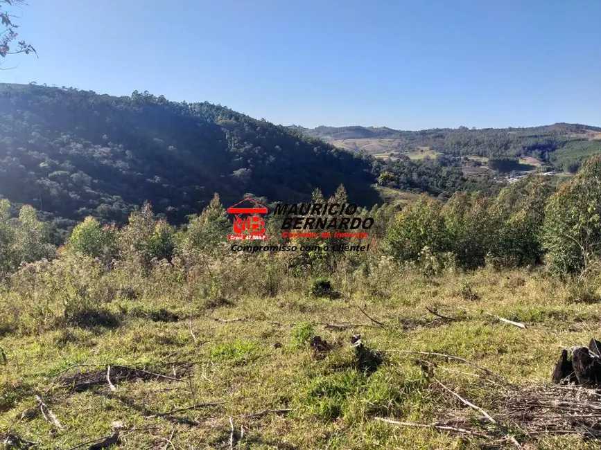 Foto 9 de Sítio / Rancho à venda em Amparo - SP