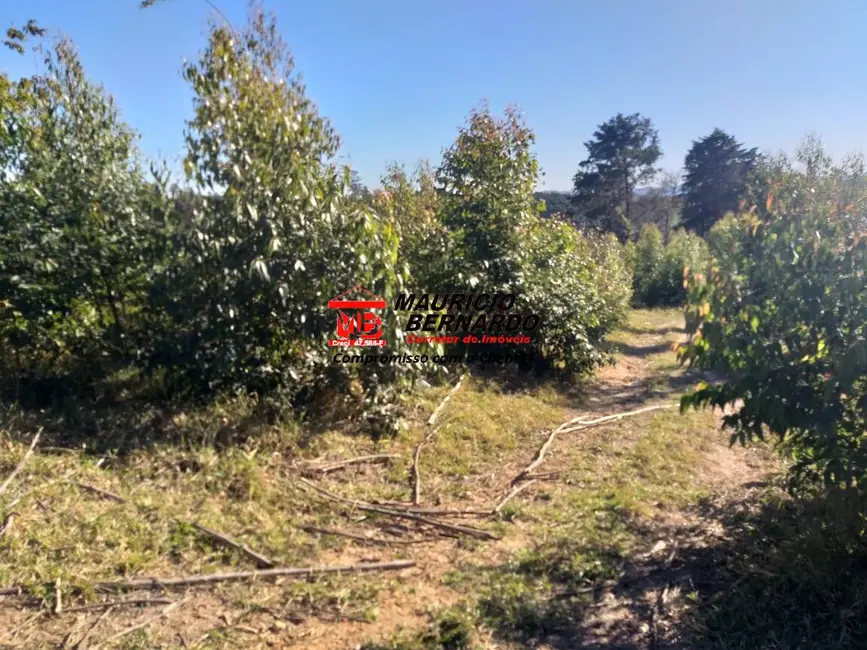 Foto 12 de Sítio / Rancho à venda em Amparo - SP