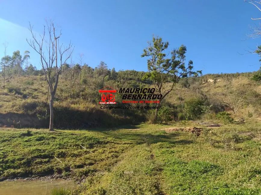 Foto 6 de Sítio / Rancho à venda em Amparo - SP