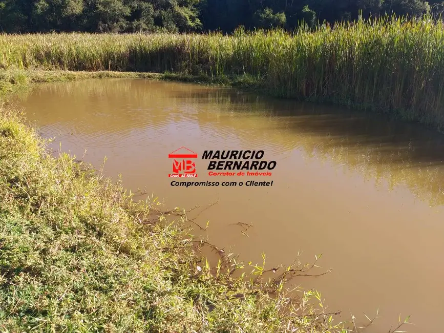 Foto 3 de Sítio / Rancho à venda em Amparo - SP