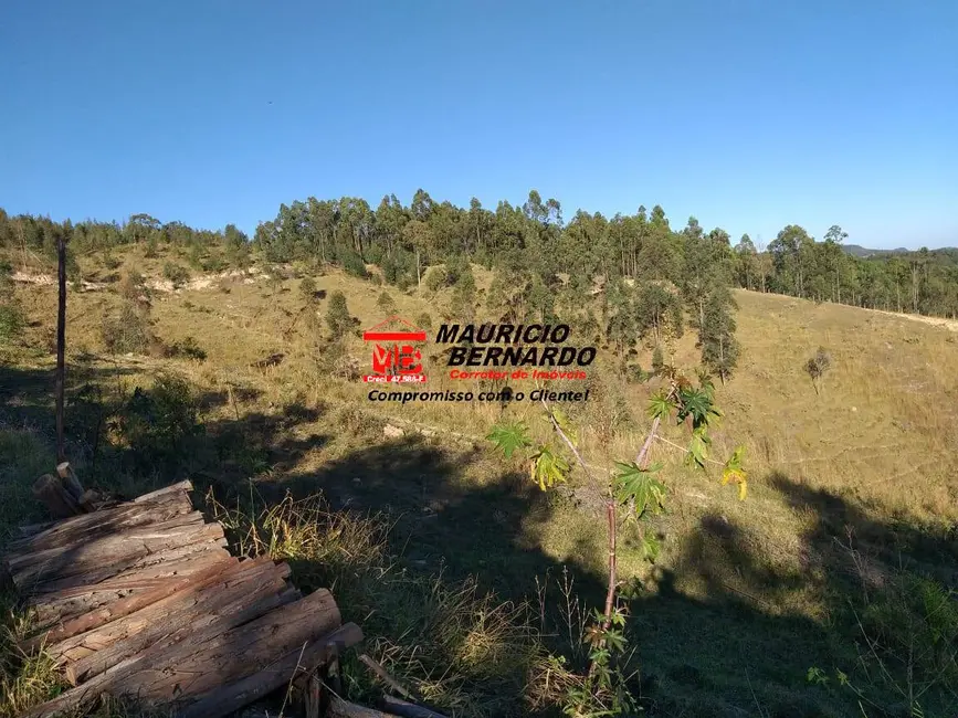 Foto 10 de Sítio / Rancho à venda em Amparo - SP