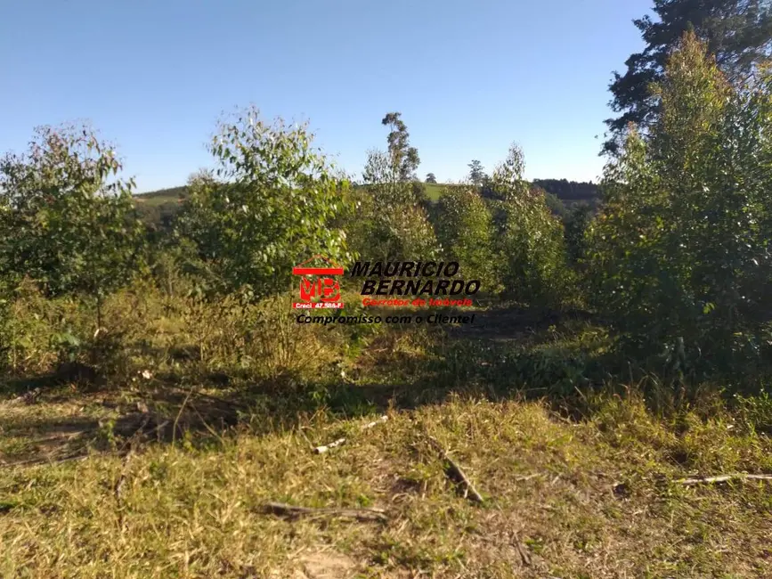 Foto 13 de Sítio / Rancho à venda em Amparo - SP