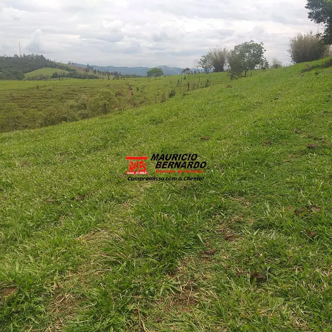 Foto 5 de Fazenda / Haras com 3 quartos à venda, 32m2 em Amparo - SP