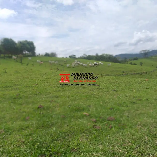 Foto 3 de Fazenda / Haras com 3 quartos à venda, 32m2 em Amparo - SP