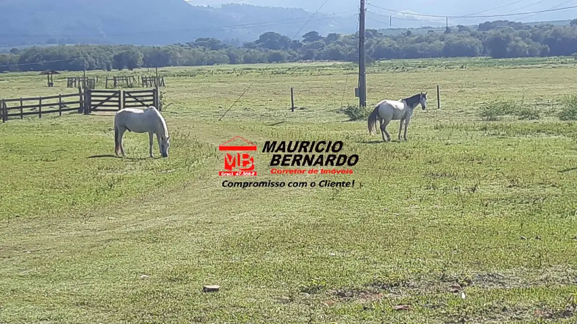 Foto 7 de Fazenda / Haras com 4 quartos à venda, 220m2 em Santa Rita Do Sapucai - MG