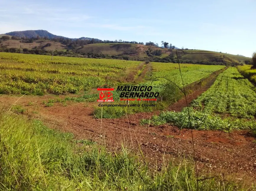 Foto 2 de Fazenda / Haras com 4 quartos à venda, 220m2 em Santa Rita Do Sapucai - MG