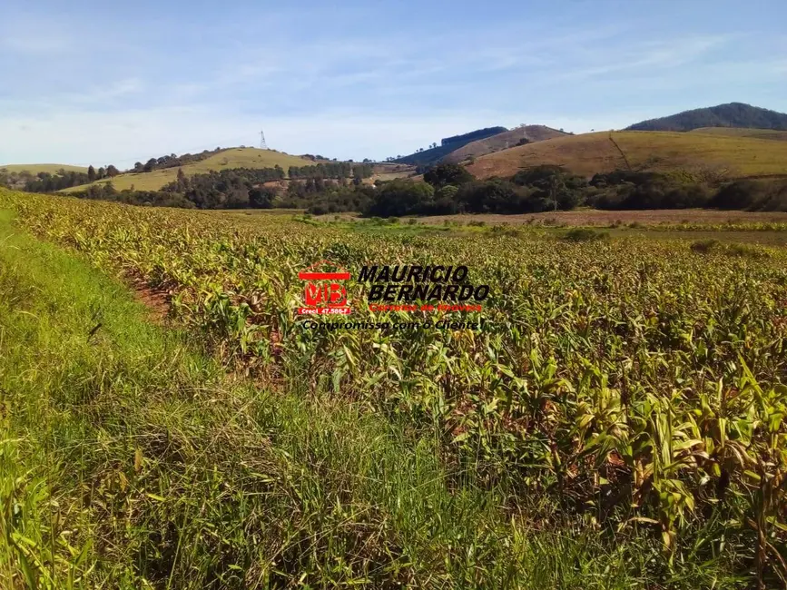 Foto 6 de Fazenda / Haras com 4 quartos à venda, 220m2 em Santa Rita Do Sapucai - MG