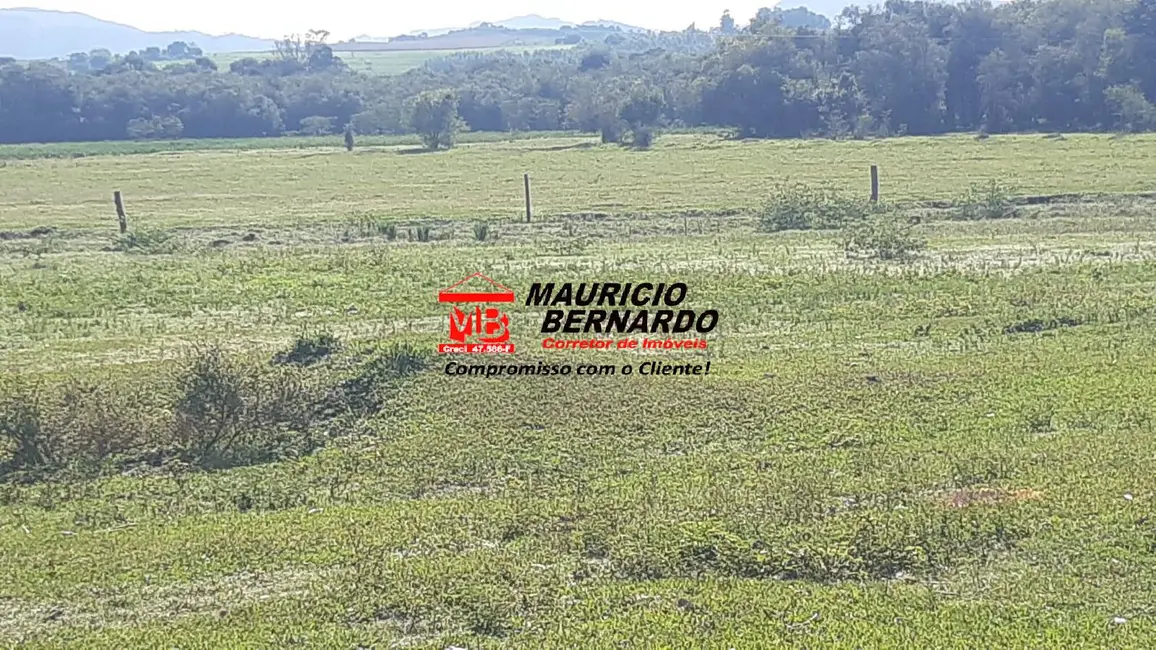 Foto 4 de Fazenda / Haras com 4 quartos à venda, 220m2 em Santa Rita Do Sapucai - MG