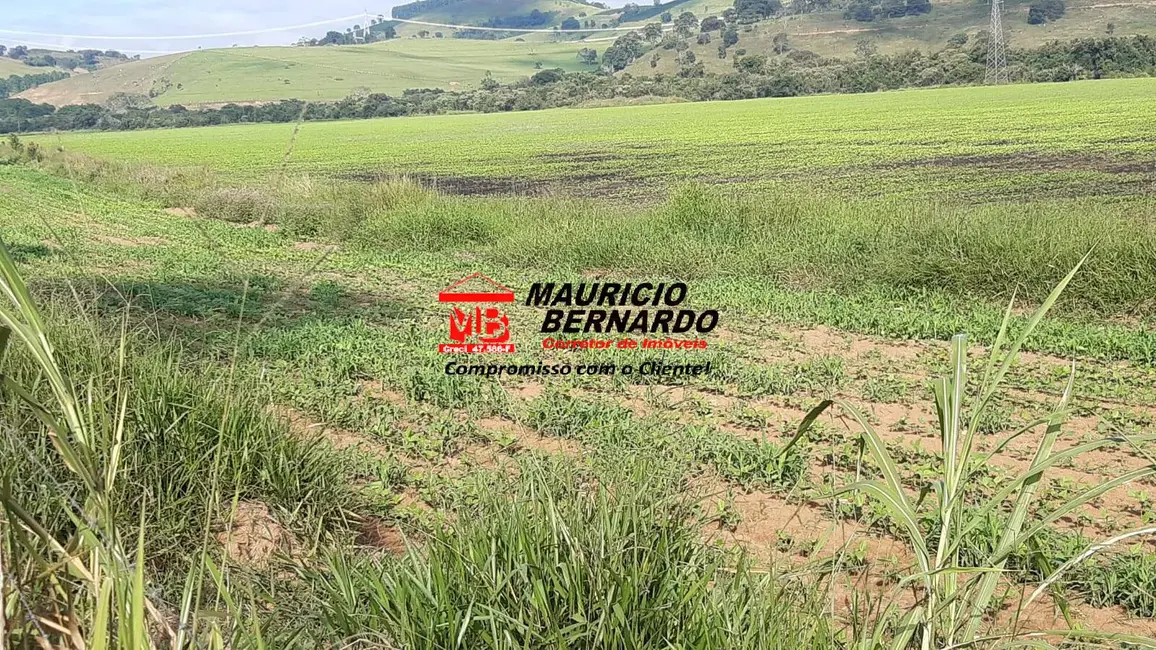 Foto 9 de Fazenda / Haras com 4 quartos à venda, 220m2 em Santa Rita Do Sapucai - MG