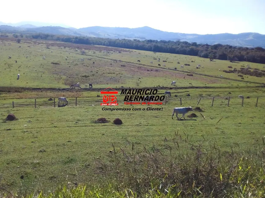 Foto 1 de Fazenda / Haras com 4 quartos à venda, 220m2 em Santa Rita Do Sapucai - MG