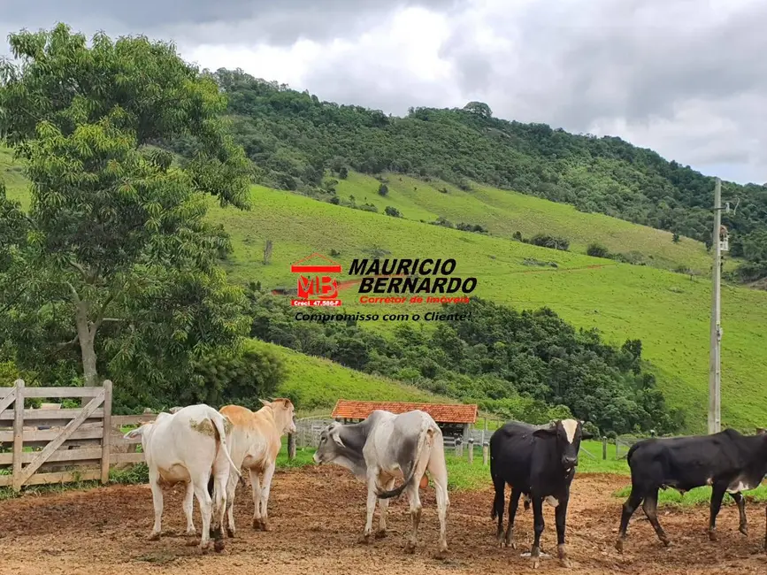 Foto 1 de Fazenda / Haras com 3 quartos à venda, 60m2 em Munhoz - MG
