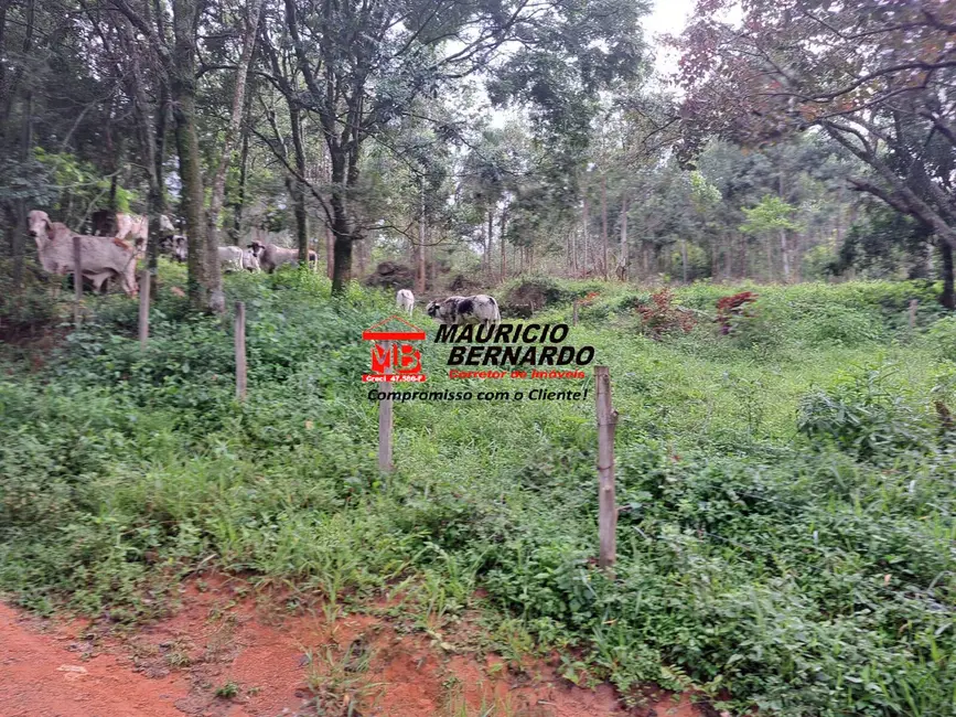 Foto 4 de Fazenda / Haras com 2 quartos à venda, 80m2 em Campinas - SP