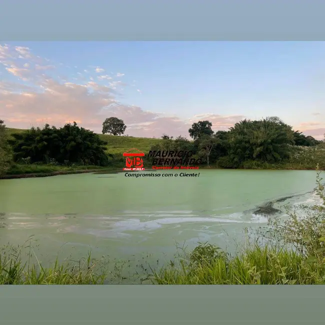 Foto 7 de Sítio / Rancho com 6 quartos à venda, 39m2 em Amparo - SP