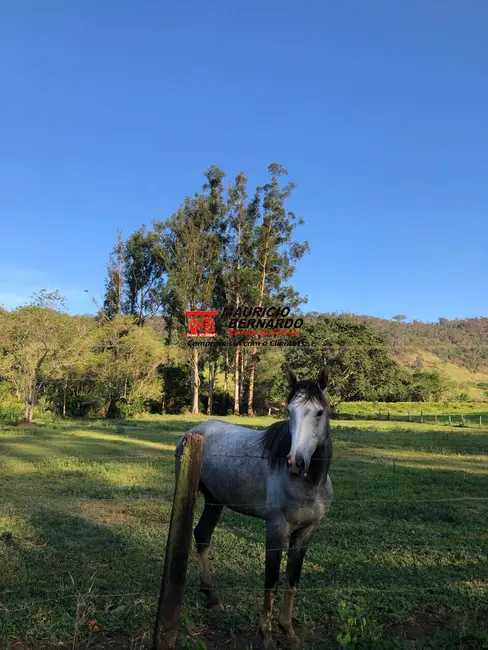 Foto 4 de Sítio / Rancho com 6 quartos à venda, 39m2 em Amparo - SP