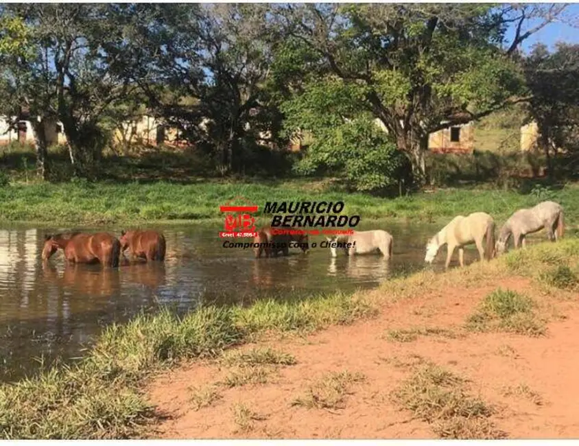 Foto 1 de Sítio / Rancho com 6 quartos à venda, 39m2 em Amparo - SP