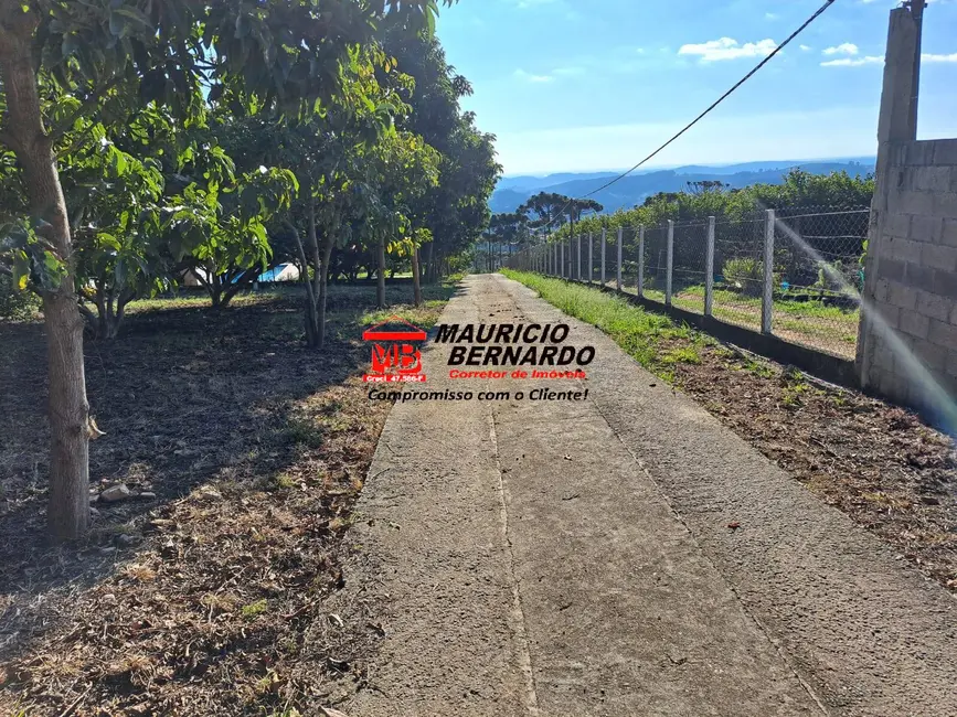 Foto 3 de Sítio / Rancho com 3 quartos à venda em Amparo - SP