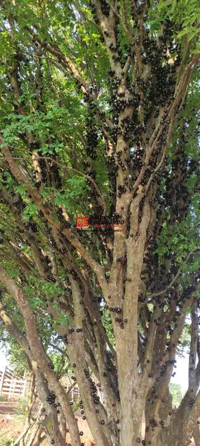 Sítio / Rancho com 3 quartos à venda, 10m2 em Vale dos Lagos, Tatui - SP - imagem 8 Foto 8 de Sítio / Rancho com 3 quartos à venda, 10m2 em Vale dos Lagos, Tatui - SP