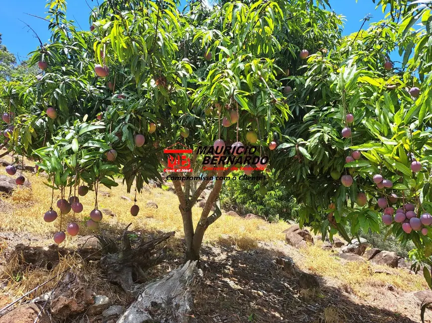 Foto 4 de Sítio / Rancho com 2 quartos à venda em Amparo - SP