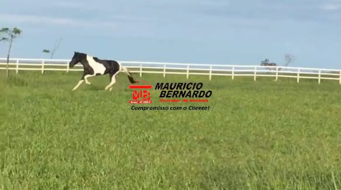 Foto 1 de Fazenda / Haras com 3 quartos à venda, 22m2 em Pedreira - SP