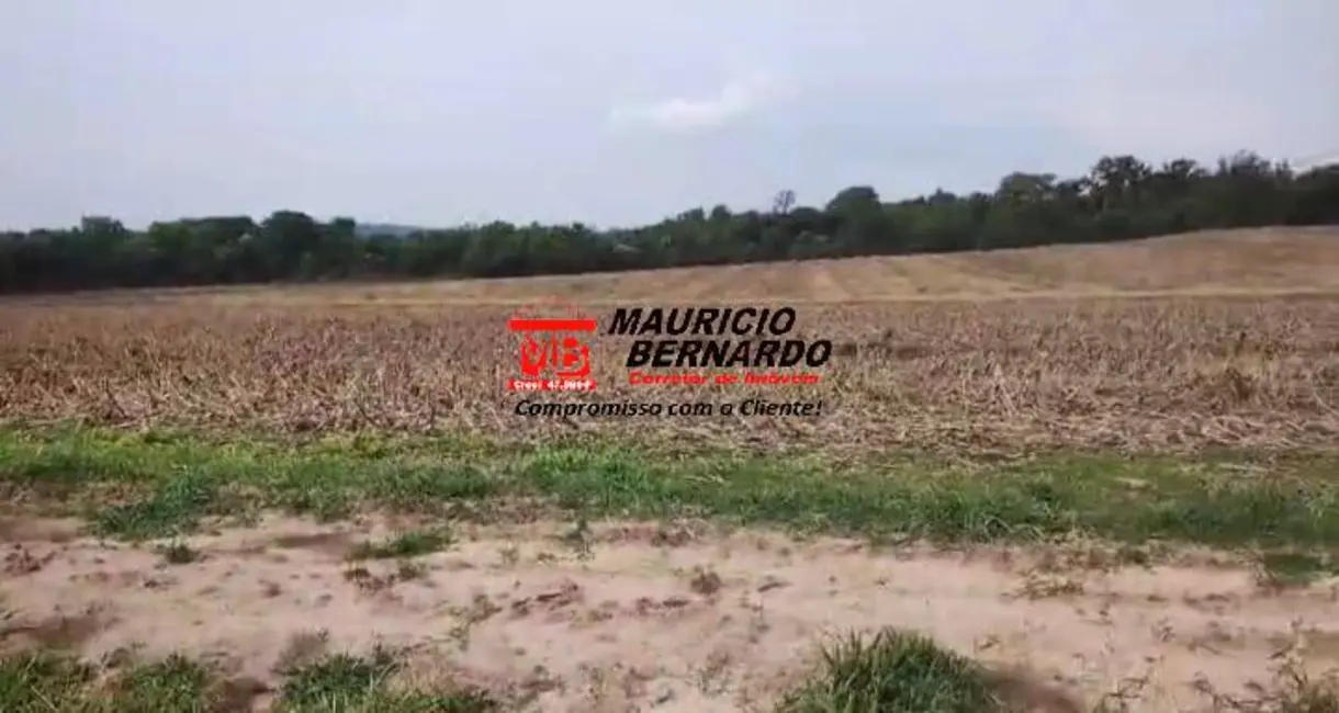 Foto 3 de Sítio / Rancho com 2 quartos à venda, 14m2 em Angatuba - SP