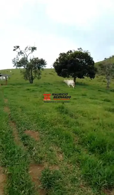 Foto 1 de Fazenda / Haras com 3 quartos à venda, 103m2 em Guaratingueta - SP