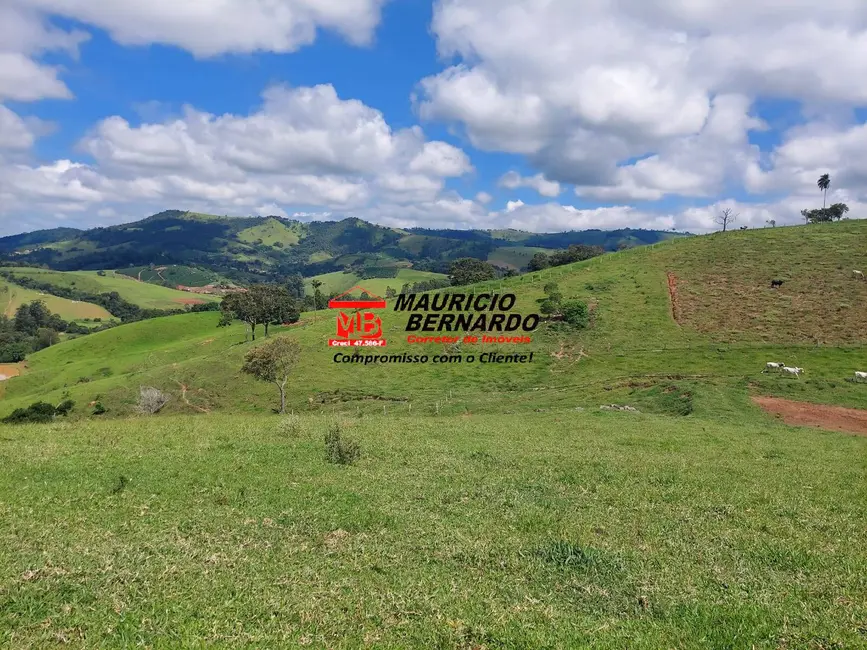 Foto 2 de Sítio / Rancho com 2 quartos à venda, 28m2 em Socorro - SP