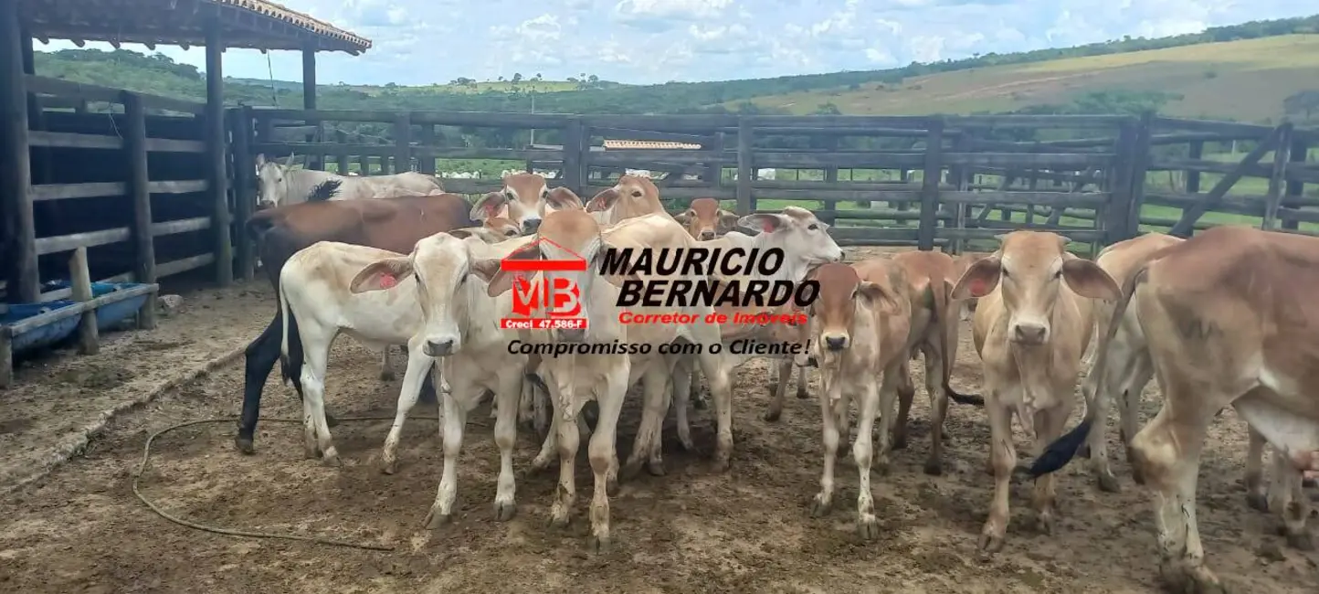 Foto 7 de Fazenda / Haras com 8 quartos à venda, 420m2 em Oliveira - MG