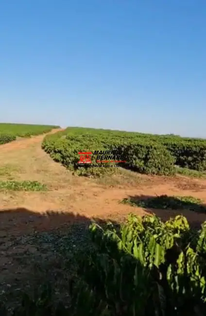 Fazenda / Haras com 3 quartos à venda, 252m2 em Botelhos - MG - imagem 7 Foto 7 de Fazenda / Haras com 3 quartos à venda, 252m2 em Botelhos - MG