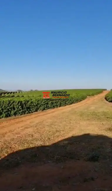 Fazenda / Haras com 3 quartos à venda, 252m2 em Botelhos - MG - imagem 8 Foto 8 de Fazenda / Haras com 3 quartos à venda, 252m2 em Botelhos - MG