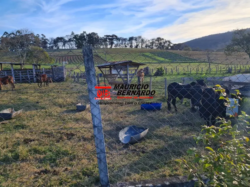 Foto 8 de Sítio / Rancho com 4 quartos à venda em Monte Alegre Do Sul - SP
