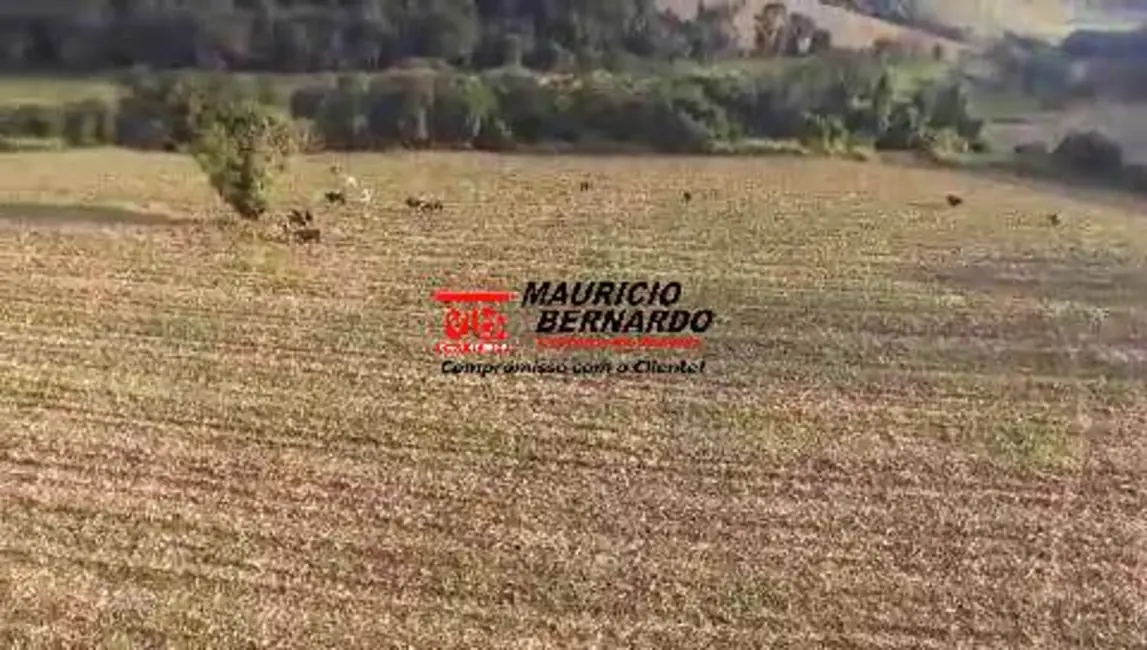 Foto 5 de Sítio / Rancho à venda, 10m2 em Morungaba - SP