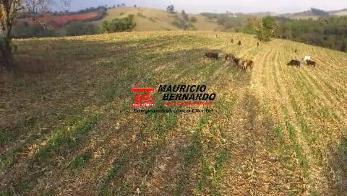 Foto 9 de Sítio / Rancho à venda, 10m2 em Morungaba - SP