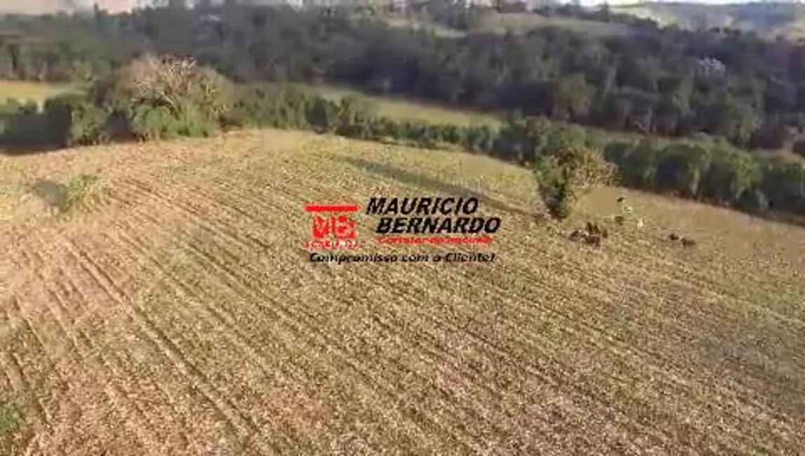 Foto 7 de Sítio / Rancho à venda, 10m2 em Morungaba - SP