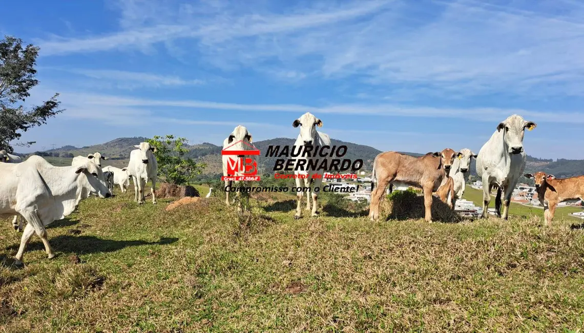 Foto 2 de Fazenda / Haras à venda, 116m2 em Braganca Paulista - SP