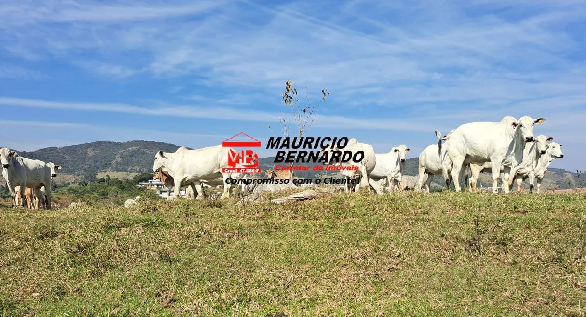 Foto 3 de Fazenda / Haras à venda, 116m2 em Braganca Paulista - SP