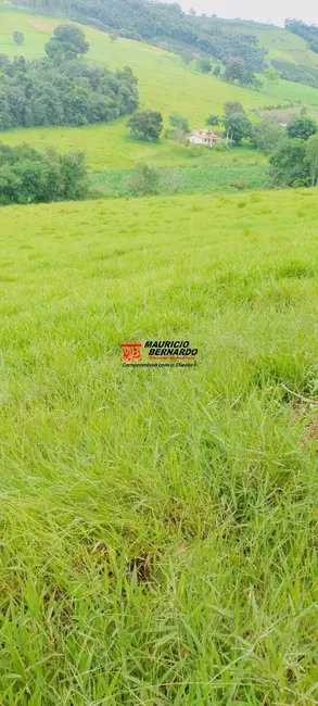 Foto 9 de Fazenda / Haras à venda, 605m2 em Socorro - SP