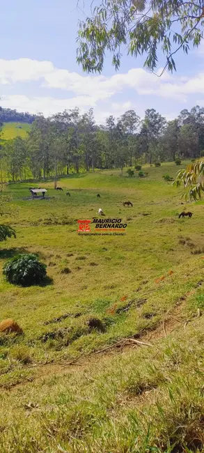 Foto 5 de Fazenda / Haras à venda, 605m2 em Socorro - SP