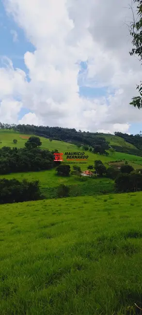 Foto 6 de Fazenda / Haras à venda, 605m2 em Socorro - SP
