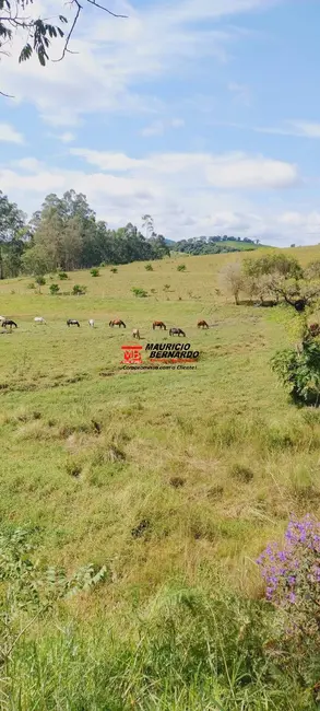 Foto 4 de Fazenda / Haras à venda, 605m2 em Socorro - SP