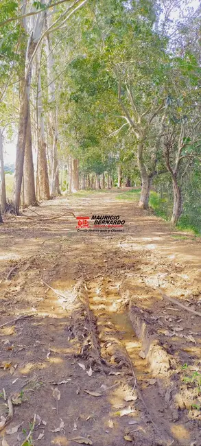 Foto 3 de Fazenda / Haras à venda, 605m2 em Socorro - SP