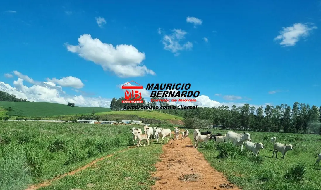 Foto 6 de Fazenda / Haras à venda, 172m2 em Pouso Alegre - MG