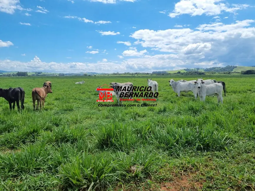 Foto 3 de Fazenda / Haras à venda, 172m2 em Pouso Alegre - MG