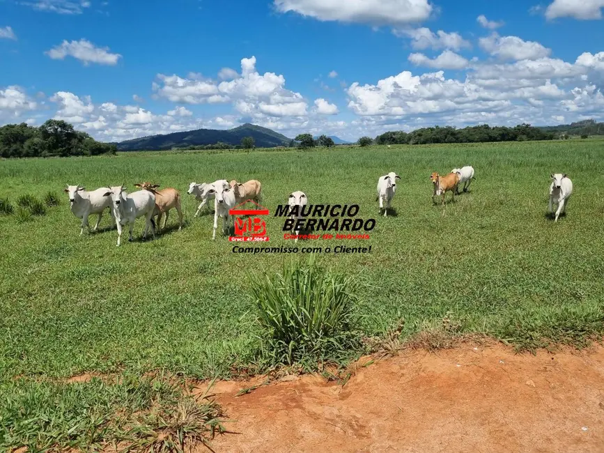 Foto 5 de Fazenda / Haras à venda, 172m2 em Pouso Alegre - MG