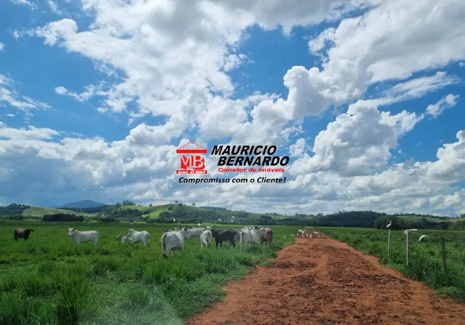 Foto 4 de Fazenda / Haras à venda, 172m2 em Pouso Alegre - MG